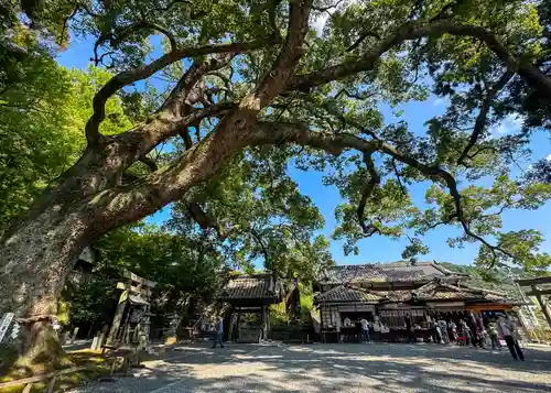 事任八幡宮(静岡県)