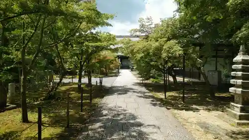 光明寺（粟生光明寺）(京都府)