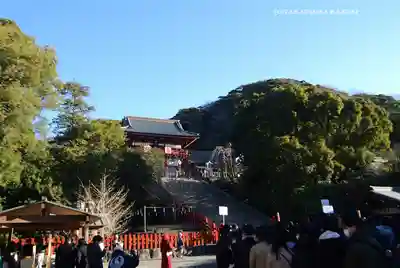 鶴岡八幡宮の初詣