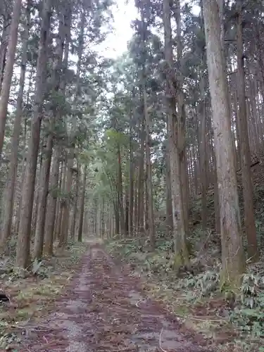 諏訪神社の自然