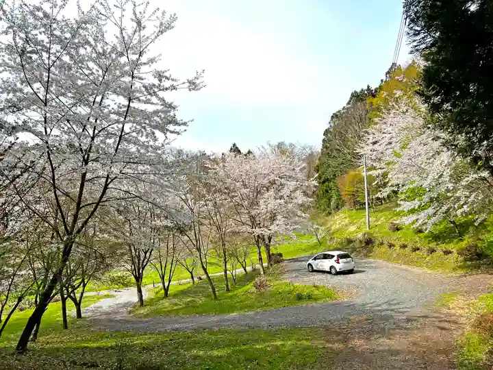 戸隠神社の自然
