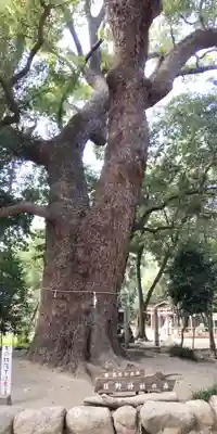 日野神社(兵庫県)