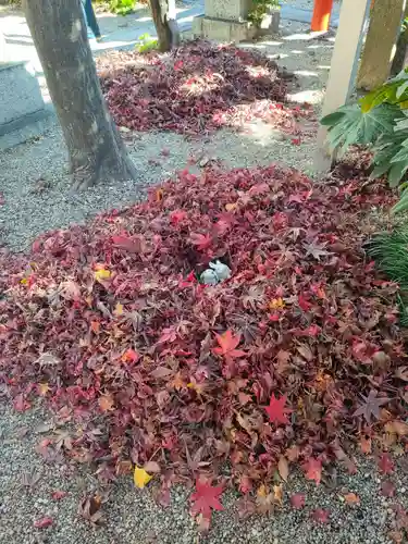 三輪神社の庭園