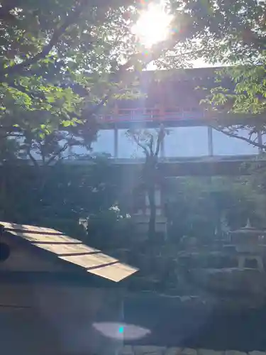 射楯兵主神社(兵庫県)