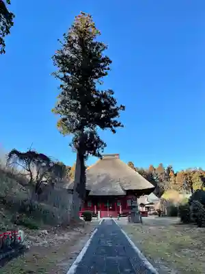 医王寺の本殿・本堂