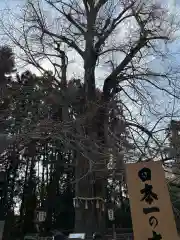 水戸八幡宮(茨城県)