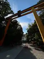 川越氷川神社(埼玉県)