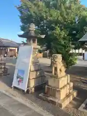 稲荷神社の狛犬