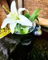 上尾御嶽神社の手水舎