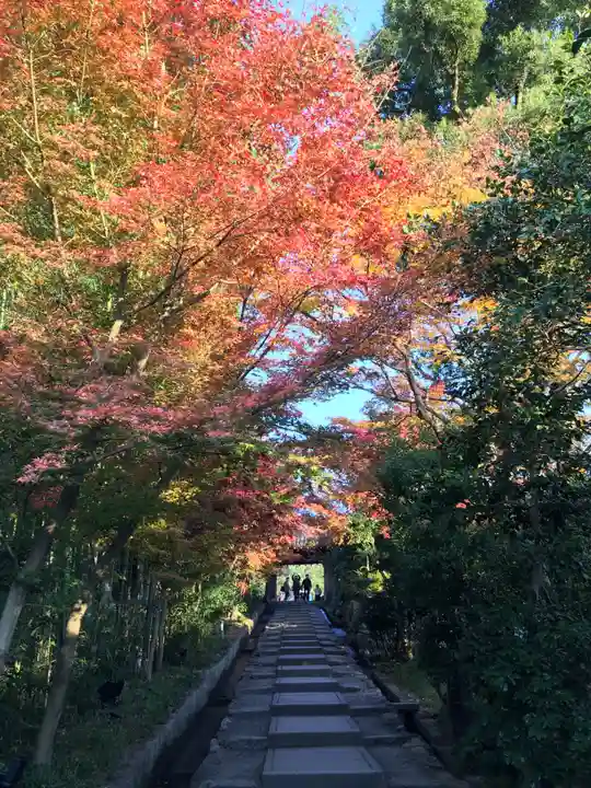 高台寺(高台寿聖禅寺・高臺寺)(京都府)