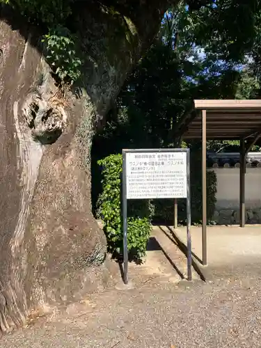 粉河寺(和歌山県)