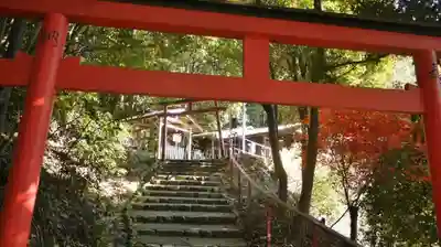 二葉姫稲荷神社の鳥居