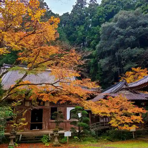 大洞院の建物その他