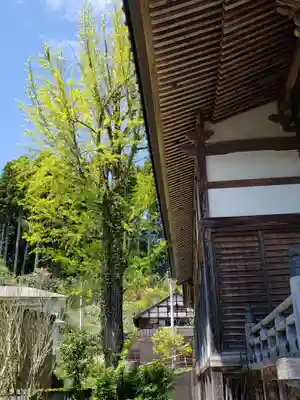 尊光寺のその他建物