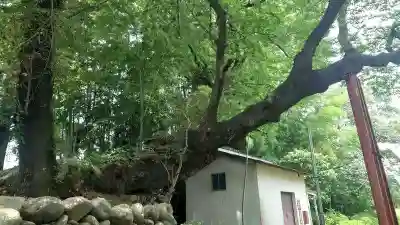熊野神社(群馬県)
