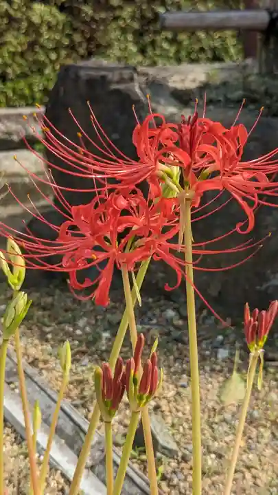後白河院御聖蹟 法住寺(京都府)