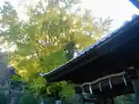 長勝寺の自然