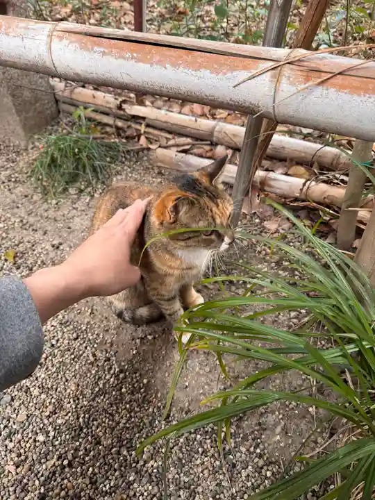 楠珺社(住吉大社末社)(大阪府)