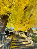 吉祥寺(宮城県)