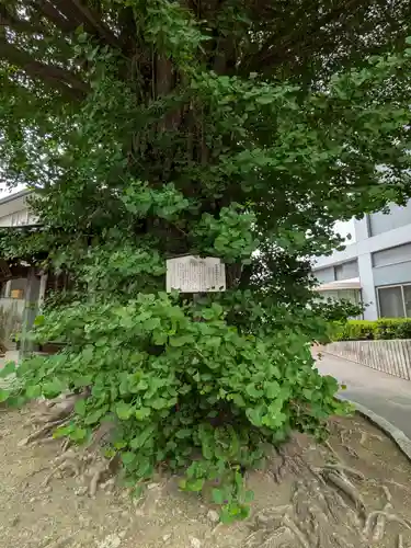 稼穡稲荷社(東京都)