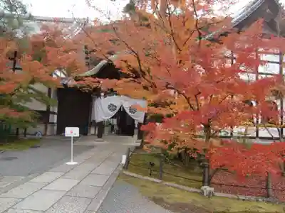 禅林寺(永観堂)(京都府)