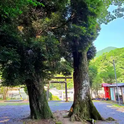 許禰神社(静岡県)