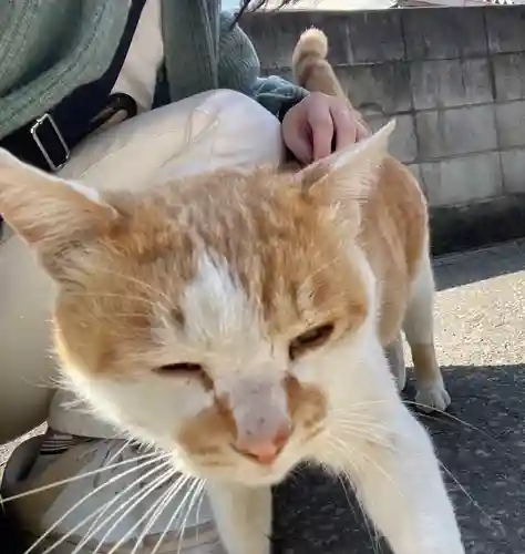 佐野赤城神社(栃木県)