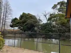 菊田神社(千葉県)