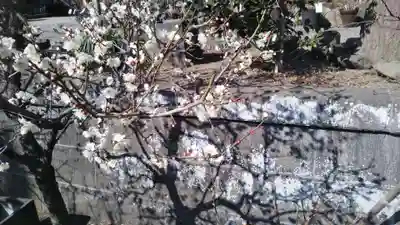 瀬戸神社(神奈川県)