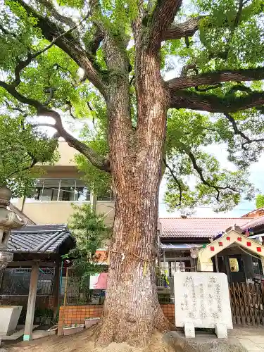 皇大神社(兵庫県)