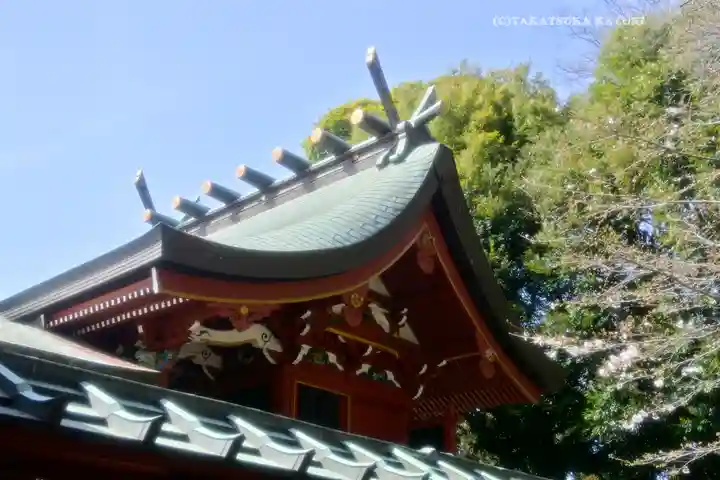 峯ヶ岡八幡神社(埼玉県)