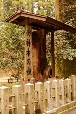 草部吉見神社(熊本県)
