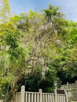 平之荘神社(兵庫県)