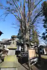 松本神社の狛犬