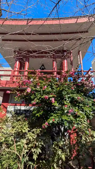 摂津之国 國分寺(金光明四天王護国之寺)(大阪府)