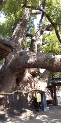 三島神社(大阪府)
