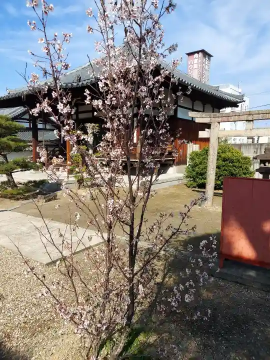 野中寺の{uncategorized: "未分類", other: "その他", undefined: "問題あり", building: "その他建物", grave: "お墓", sacred_gate: "鳥居", guardian: "狛犬", statue: "像", buddha: "仏像", history: "歴史", nature: "自然", garden: "庭園", animal: "動物", pagoda: "塔", temizu: "手水舎", mountain_gate: "山門・神門", sanctuary: "本殿・本堂", subordinate: "末社・摂社", art: "芸術", scenery: "景色", jizo: "地蔵", ema: "絵馬", goshuin: "御朱印", omikuji: "おみくじ", items: "授与品その他", amulet: "お守り", goshuincho: "御朱印帳", eats: "食事", festival: "お祭り", votive_dance: "神楽", shichigosan: "七五三参", wedding: "結婚式", experience: "体験その他", initially: "初詣", around: "周辺", anti_infection: "感染症対策"}