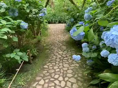 明月院(神奈川県)