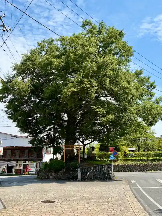 山神宮(埼玉県)