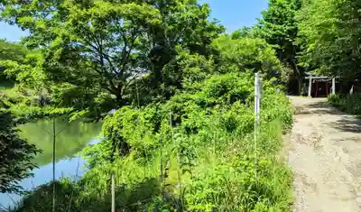 横戸元池辨天宮の自然