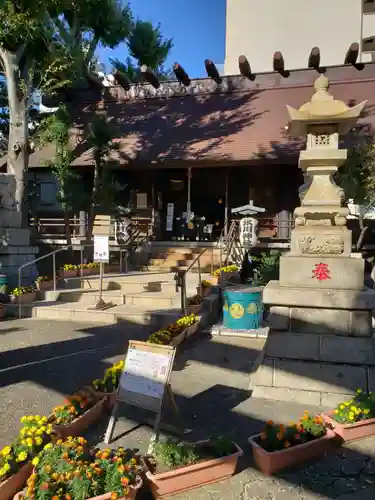 高円寺氷川神社の本殿・本堂