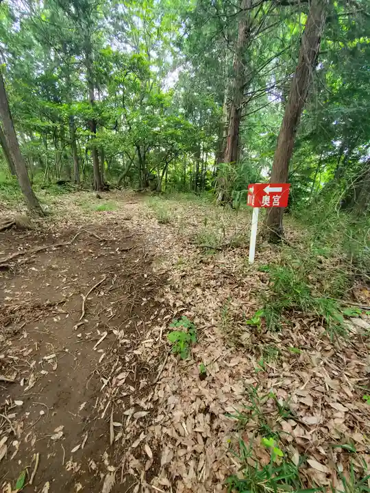 賀茂別雷神社の周辺