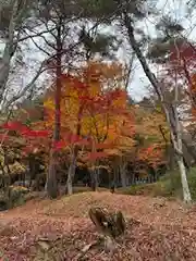 日枝神社(岐阜県)