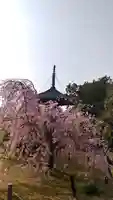 清凉寺(京都府)