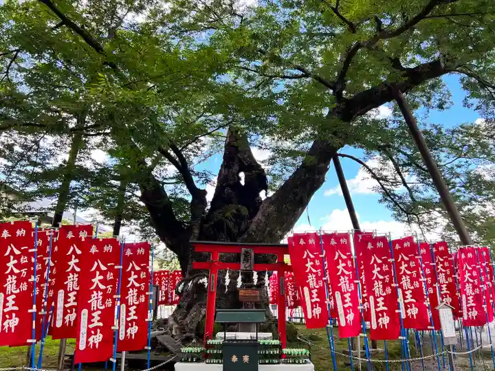 秩父今宮神社(埼玉県)