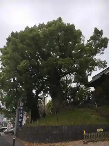 北岡神社の建物その他