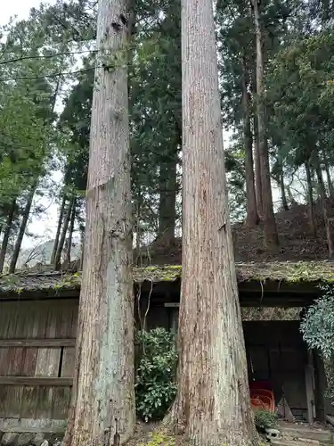 岩本神社(福井県)