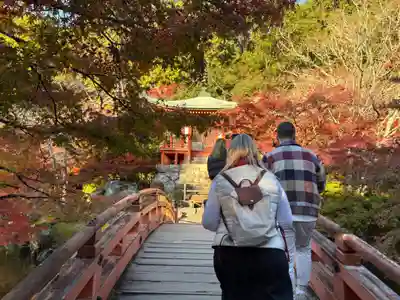 醍醐寺(京都府)