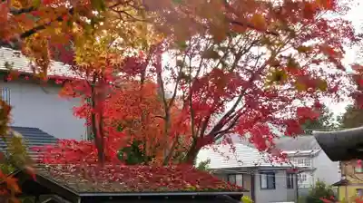 三明院のその他建物