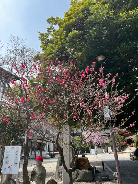 高徳院の{uncategorized: "未分類", other: "その他", undefined: "問題あり", building: "その他建物", grave: "お墓", sacred_gate: "鳥居", guardian: "狛犬", statue: "像", buddha: "仏像", history: "歴史", nature: "自然", garden: "庭園", animal: "動物", pagoda: "塔", temizu: "手水舎", mountain_gate: "山門・神門", sanctuary: "本殿・本堂", subordinate: "末社・摂社", art: "芸術", scenery: "景色", jizo: "地蔵", ema: "絵馬", goshuin: "御朱印", omikuji: "おみくじ", items: "授与品その他", amulet: "お守り", goshuincho: "御朱印帳", eats: "食事", festival: "お祭り", votive_dance: "神楽", shichigosan: "七五三参", wedding: "結婚式", experience: "体験その他", initially: "初詣", around: "周辺", anti_infection: "感染症対策"}